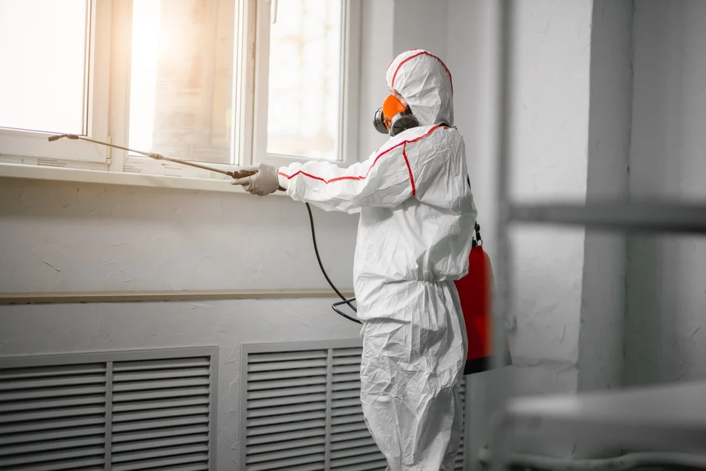 Professional mold remediation services in Mumford, TX